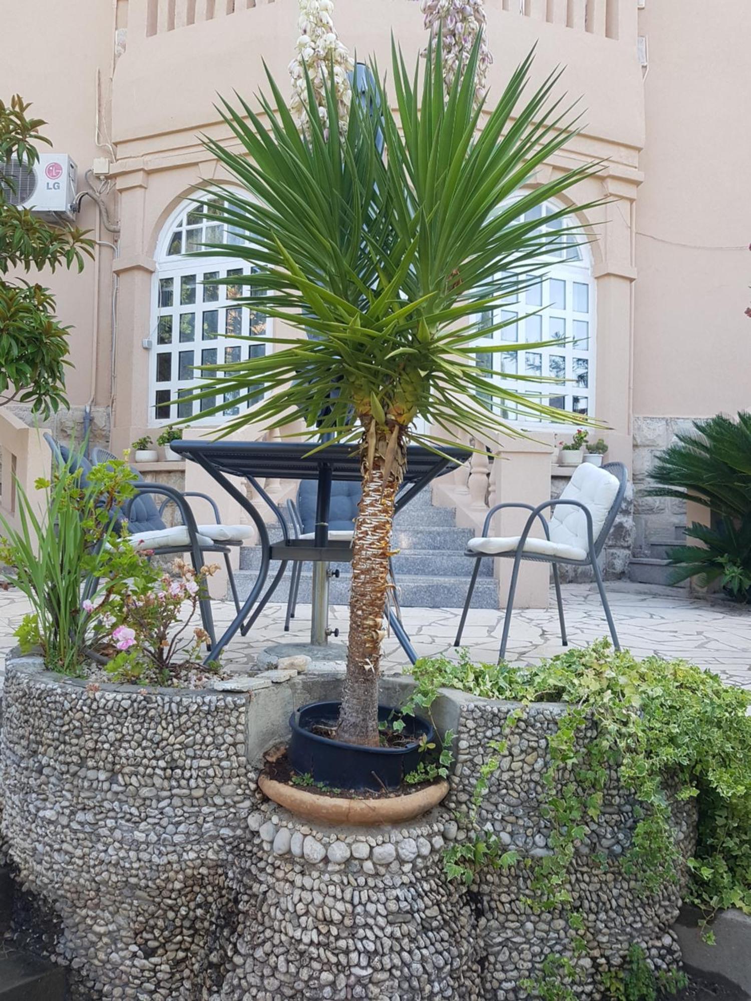 Tiha Lägenhet Cavtat