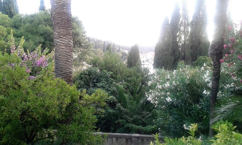Tiha Cavtat